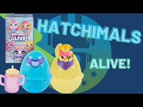 Hatchimals Alive Unboxing Review