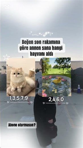 #keşfetteyiz#keşfet #fypp #keşfetbeniöneçıkar