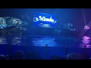 Final Ever "Miracles" Show, Shamu Christmas, SeaWorld Orlando
