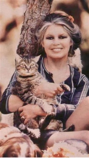 Lek Chailert on Instagram: "A Legend of Compassion Has Left Us Another beautiful life has passed away today. We honor Brigitte Bardot a true angel for animals and a woman of grace, courage, and compassion. Brigitte was not only a world-renowned actress and timeless beauty she was also a fierce and tireless advocate for animals. In 1986, she founded the Brigitte Bardot Foundation, dedicating her life to fighting against cruelty in all forms trophy hunting, bullfighting, animal testing, factory fa