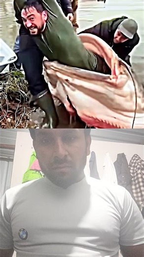 other fising but this young man omg #duet #blackwolf #footballsoccer #wildlife #wolves #wolfnews