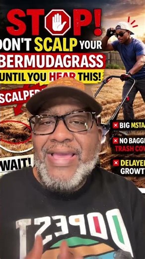 The bagging scalping Mistake that most Make.