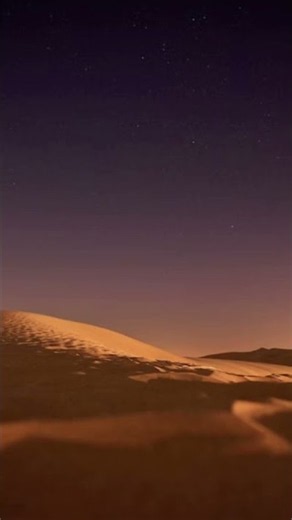 Desert Night Sounds 🌵 Coyote Howl & Dry Wind for Sleep (15 Min)