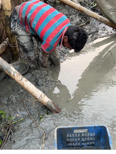 Village Boy Catching Fish with Hand from the Mud 🐟👦#fish #catchfish #mudfishing #handfishing