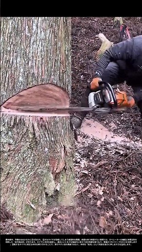【現場の技術】泥沼からの生還：スタックした巨大トラクターを自力で脱出させる「自己救出」の知恵