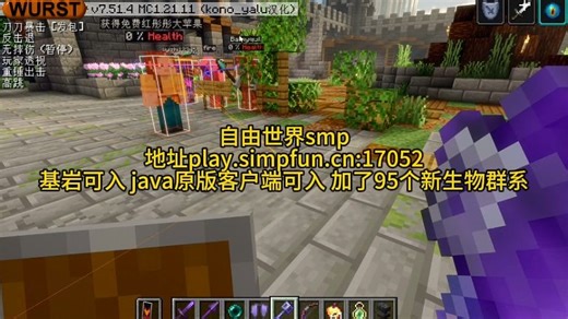 自由世界smp 地址play.simpfun.cn:17052 基岩可入 java原版客户端可入 加了95个新生物群系