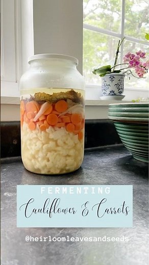 Fermenting Cauliflower and Carrots - Heirloom Leaves and Seeds #fermentedfood #fermentation #asmr