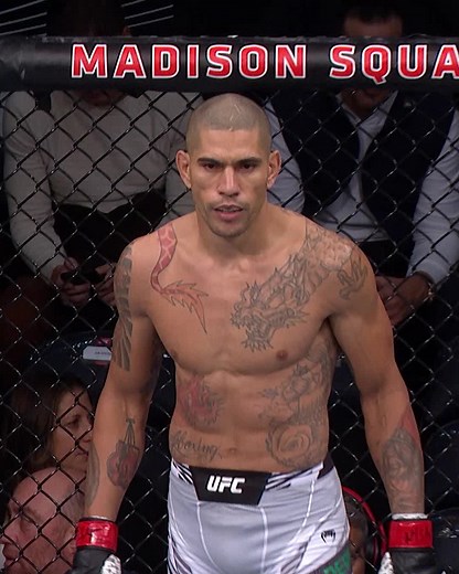 Looking back at the highly anticipated debut of Alex Pereira at #UFC268. [ Watch your favorite fighter's UFC debut on UFC Fight Pass ] | UFC