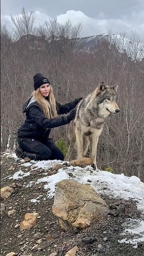 GIRL HOWLS WITH GIANT WOLVES #wolfgirl #wolfhowl #wolf