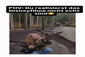 Lustige Fails, Hoppalas, Pleiten, Pech und Pannen