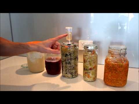 Fermenting Jars Review | Fido | Fowlers Vacola | Weck | Mason jar