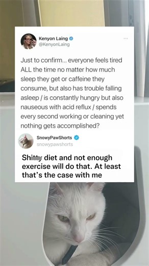 Why Everyone Feels Tired All The Time Despite Sleep