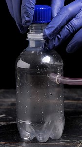 Incredible Science Surprises | Crafty Panda How