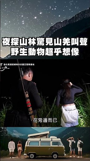 夜探山林驚見山羌叫聲！野生動物超乎想像｜上山下海過一夜 #shorts #旅行 #travel #台灣 #山羌 #野生動物
