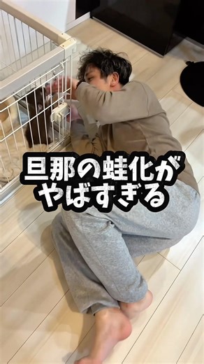 こういう時って変な声出ちゃうもんですね🫣 #夫婦 #夫婦の日常 #夫婦あるある #犬のいる暮らし