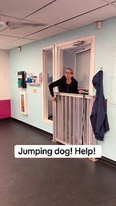 #fyp #dogtraining #dogtrainingtips | Lucky Dog Training Club