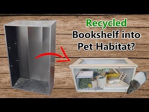 Modern DIY Wood Mouse Habitat | Recycle Build (Humble Hands) Ep. 1
