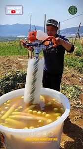 Introducing the vegetable washing machine - an essential equipment used post-harvest to ensure cleanliness and safety of your fresh produce. This innovative device streamlines the process, saving you time and effort while effectively removing dirt, pesticides, and contaminants. By investing in a vegetable washing machine, you can consistently enjoy clean, ready-to-use vegetables for consumption or further processing. Make food hygiene a top priority with this modern solution! 🥦🍅 #vegetable #ve