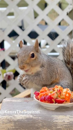 ♥️♥️♥️🐾