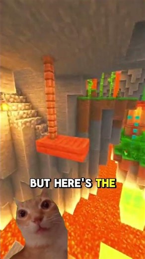 Essa Criatura é Imortal 🪼 #didyouknow