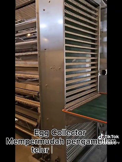 Modern Multitier Poultry Farming System