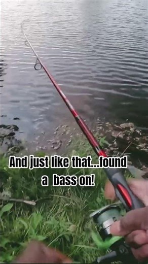 Hybrid Hunter Jr. in Action – Bass Caught & Released! #bass