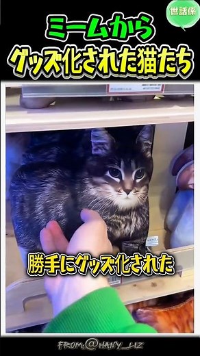 いつの間にかグッズになったミーム猫
