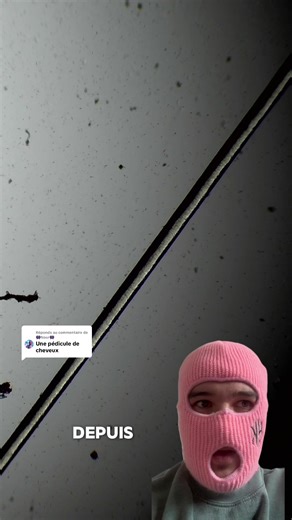 Réponse à @👾Nour👾 Un cheveux au microscope! Dis moi en commentaire ce que tu veux voir au microscope ! #microscope #bacterie #experience