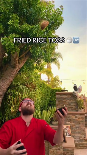 Didn’t even drop a single grain of my yummy fried rice ☺️ #hibachi #amazing #epic #foodie #friedrice