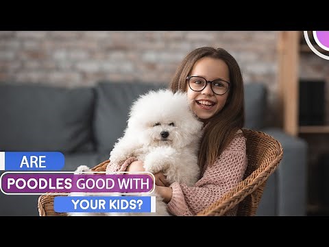 Are Poodles Good with Kids?