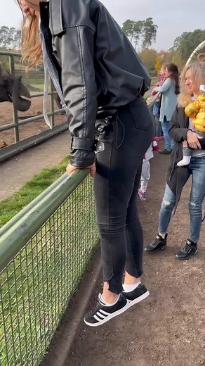 Unique Encounter with an Elephant at the Sanctuary