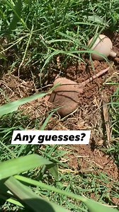 #superzoo #zoo #animals #wildlife | Nomad's Animal Encounter