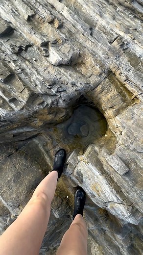 216K views · 7K reactions | What will we find inside of this ocean puddle? UPGRADED HERPING TO OCEAN 錄 #animals #wildlife #herping | CatAleah | Facebook