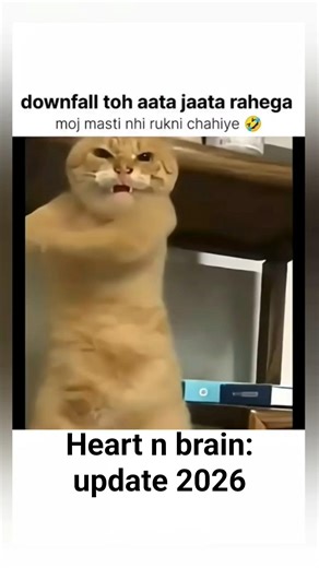 Downfall me bhi majak sujh ra h