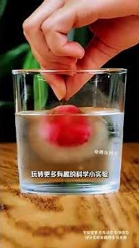 Life-Science at Home: 100 Easy Experiments for Kids