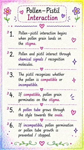 2nd PUC 1st chapter sexual reproduction in flowering plant (Pollen pistil interaction)