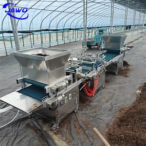[Hot Item] Hole Tray Precise Seeder Nursery Seed Nursery Tray Machine Agriculture Seed Planting Machine