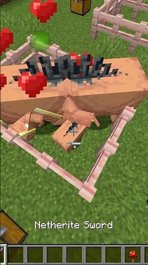 How to breed Hoglins in Minecraft #minecraftbreeding #minecrafthoglin #hoglin
