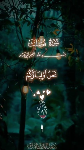 #اكسبلور #المصحف #دويتو #حالات_واتس #تصميمي #السعوديه