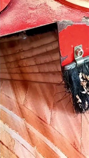 Woodworking Machinery Restoration #youtubeshorts #ytshorts #woodworking