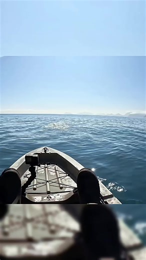 Discover Simple Camping Adventures in Alaska