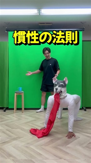 #慣性の法則 #犬 #理科 #テーブルクロス引き