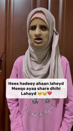 حسابات مقترحة