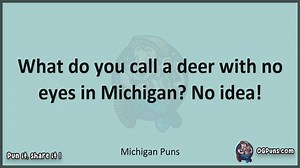 Michigan - Jokes, Puns, Wordplays, and Laughter