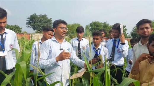 Understanding Inbred Development in Maize | Dr. Kanhaiya Lal posted on the topic | LinkedIn