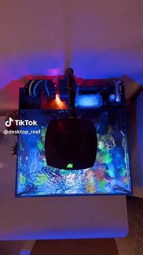 4K views · 44 reactions | Nano tank setup | MyaquariumShops Online Store | Facebook
