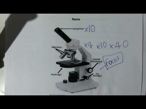 Microscopy and the magnification equation