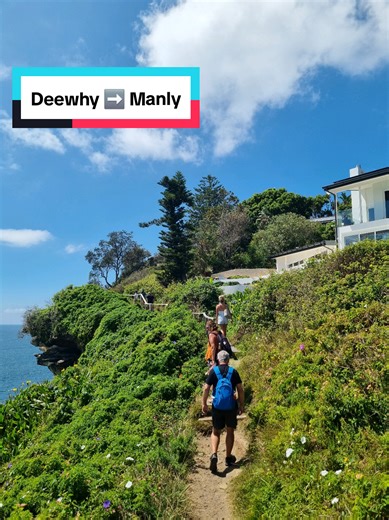 The Dee why to Manly walk is absolutely stunning 😍 another great day out in Sydney! we got the bus up to deewhy and then the ferry back from manly beach ⛱️ super easy and plenty of swimming spots along the way @Han #manlybeach #rockpoolssydney #deewhy #sydneywalks #australia