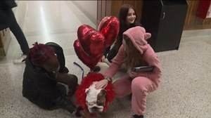 Meet Griff III, Drake’s new bulldog live-mascot-in-training