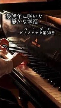 ベートーヴェン《ピアノソナタ第30番》Beethoven-Piano Sonata No.30 #shorts #piano #classic #ベートーヴェン #ピアノ